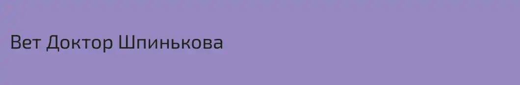 Вет Доктор Шпинькова